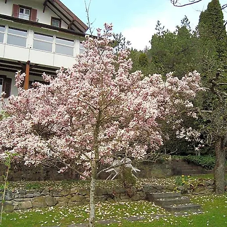 Locanda Beatus 2*