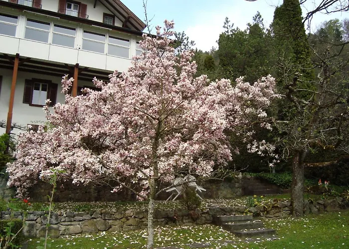 Beatus 2* Sundlauenen