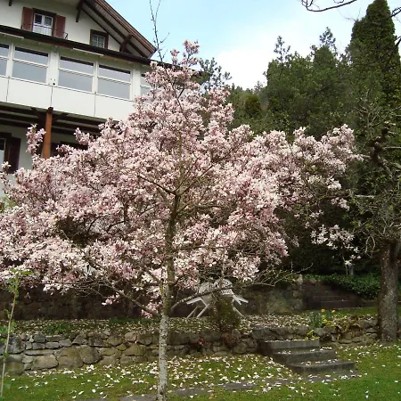 Beatus 2* Sundlauenen